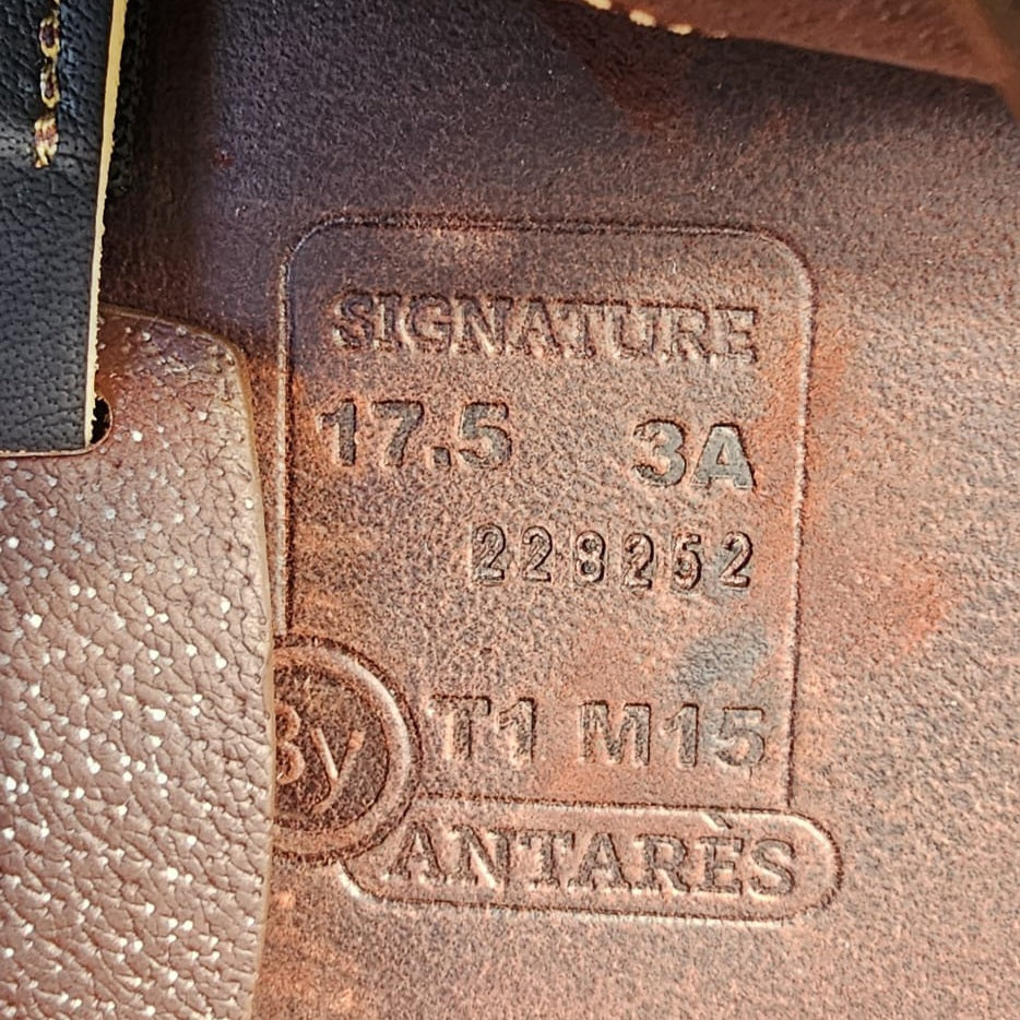 Antares Signature Jumping Saddle (EX-DEMO)