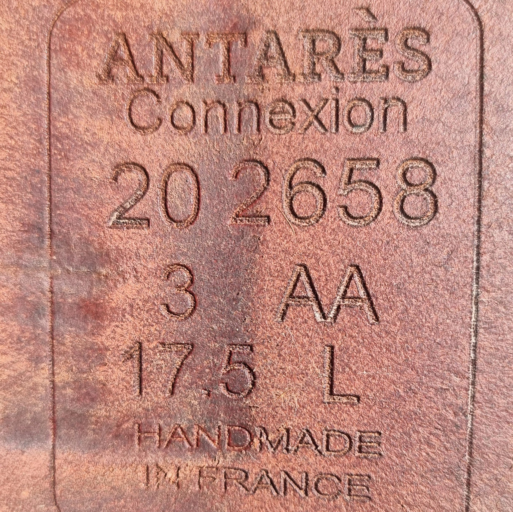 Antares Connexion Jumping Saddle